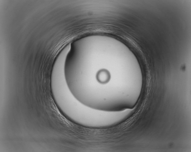 X0000115620793200912011613