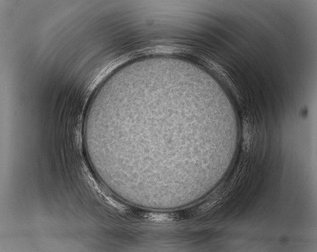 X0000115620794200912011613