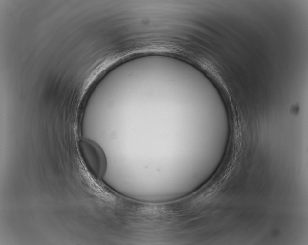 X0000115620797200912011613