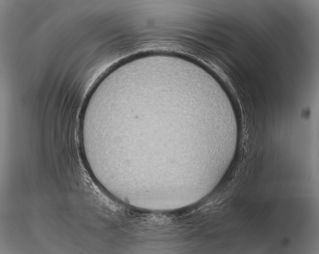 X0000115620799200912011613