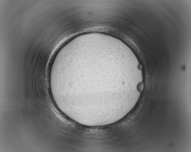 X0000115620800200912011613