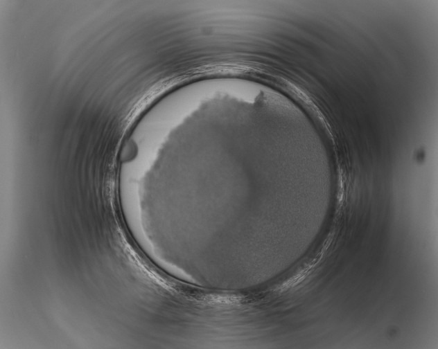 X0000115620802200912011613