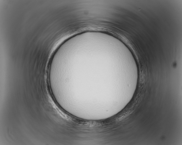 X0000115620803200912011613