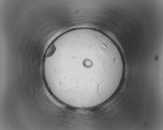 X0000115620805200912011613