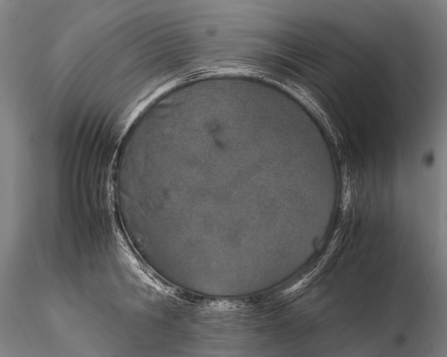 X0000115620806200912011613