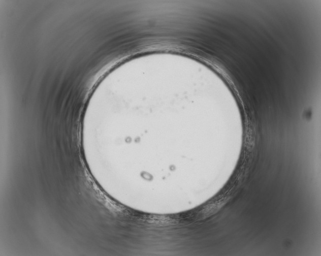 X0000115620807200912011613