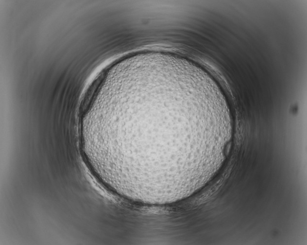 X0000115620808200912011613