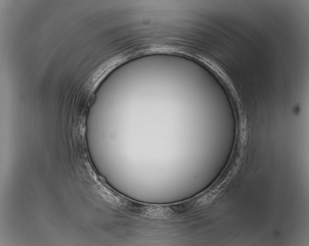 X0000115620809200912011613