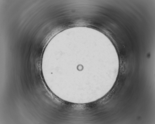 X0000115620810200912011613