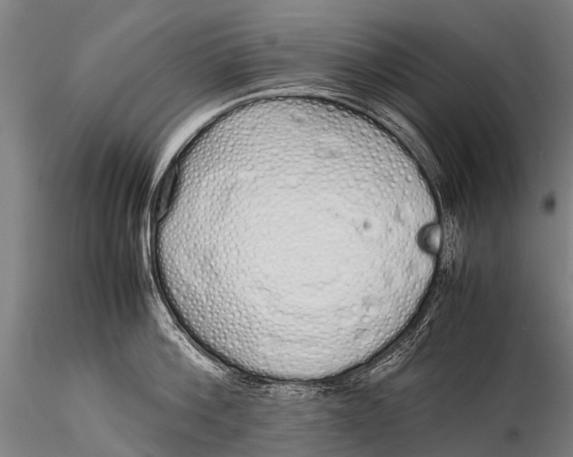 X0000115620812200912011613