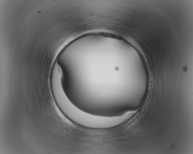 X0000115620813200912011613