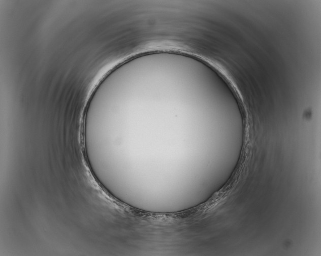 X0000115620815200912011613