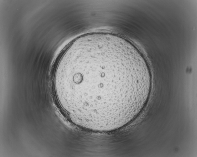 X0000115620816200912011613