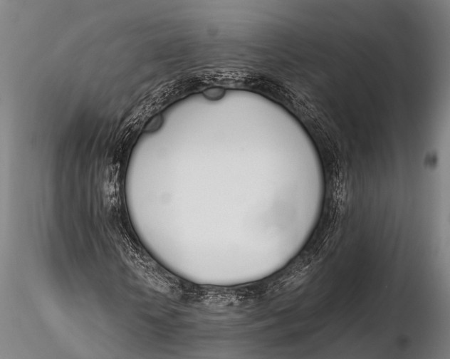 X0000115620818200912011612