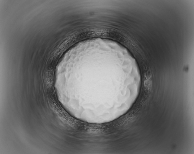 X0000115620819200912011612