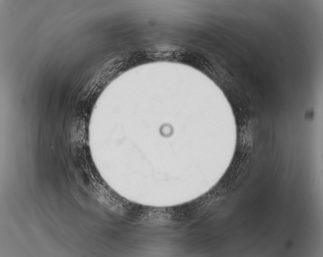 X0000115620820200912011612