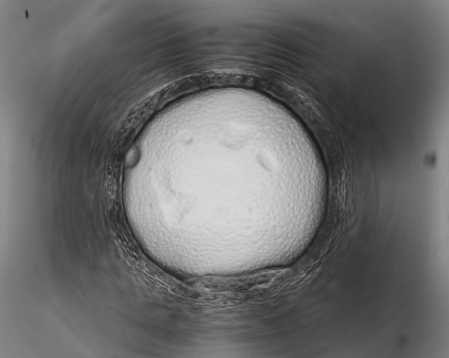 X0000115620821200912011612