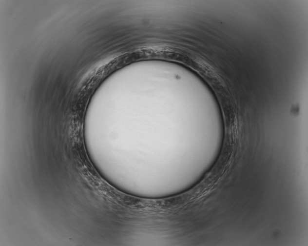 X0000115620822200912011612