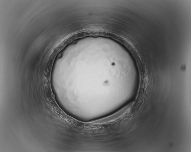 X0000115620823200912011612