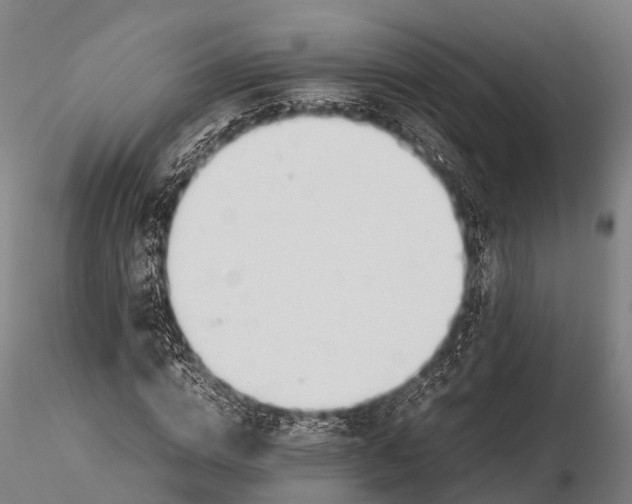 X0000115620824200912011612