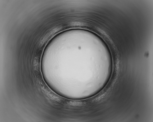 X0000115620825200912011612