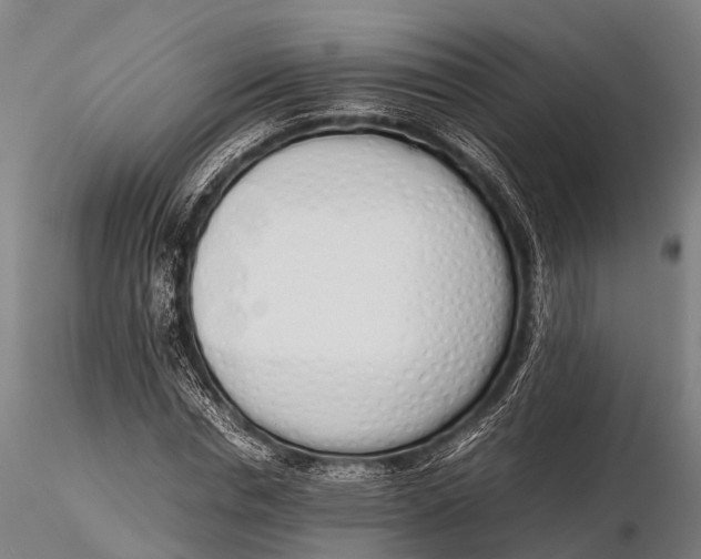 X0000115620826200912011612