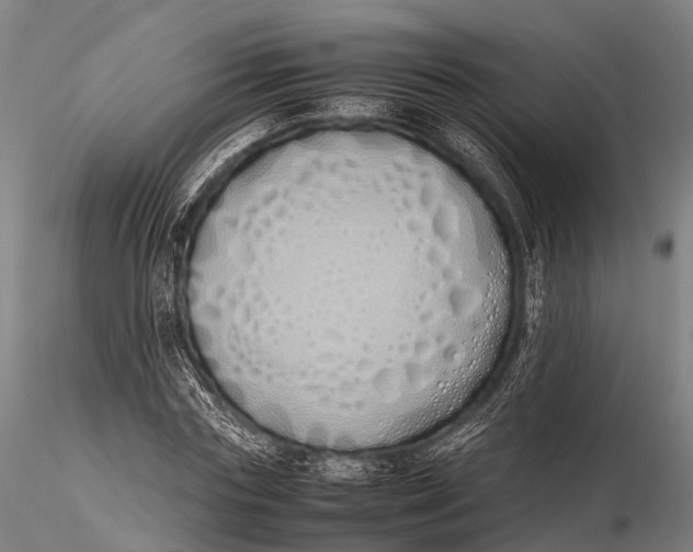 X0000115620827200912011612