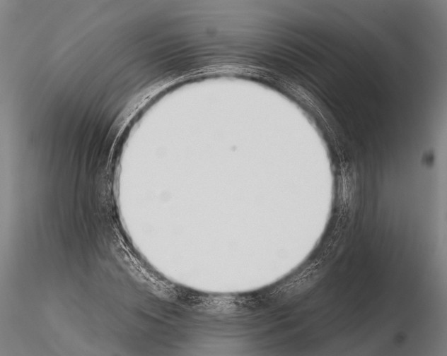 X0000115620828200912011612