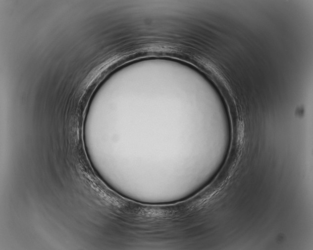 X0000115620829200912011612