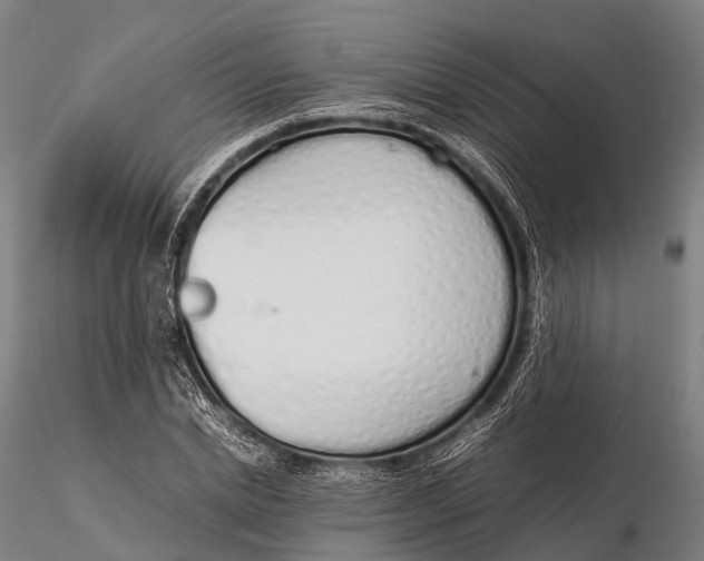 X0000115620830200912011612