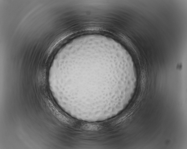 X0000115620831200912011612