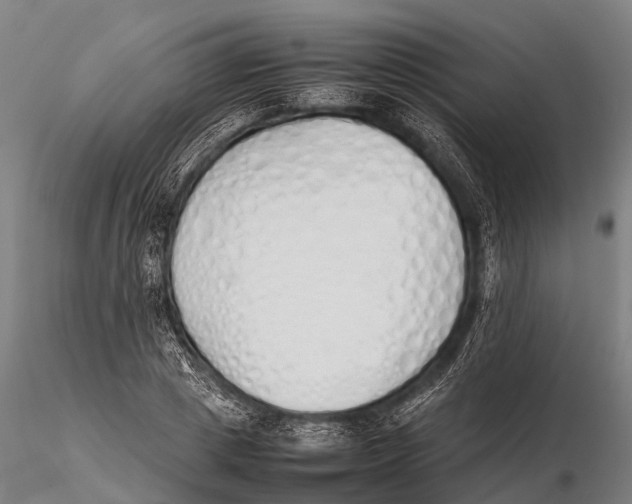 X0000115620833200912011612