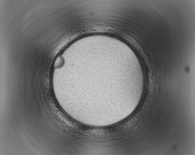 X0000115620834200912011612