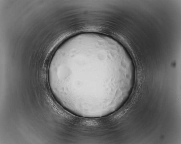 X0000115620835200912011612