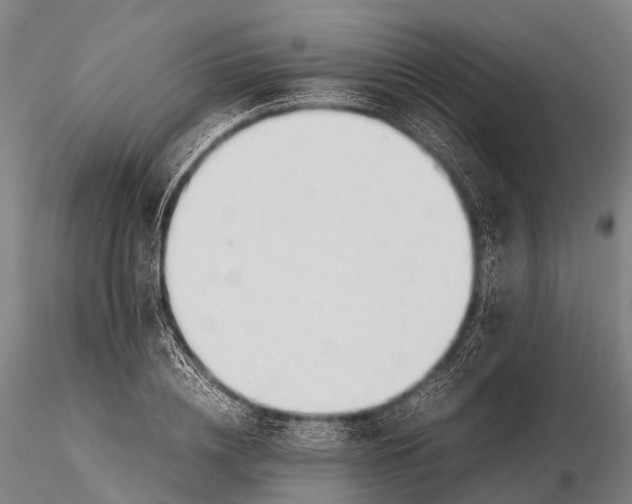 X0000115620836200912011612