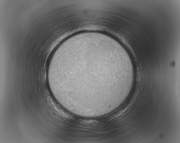 X0000115620837200912011612