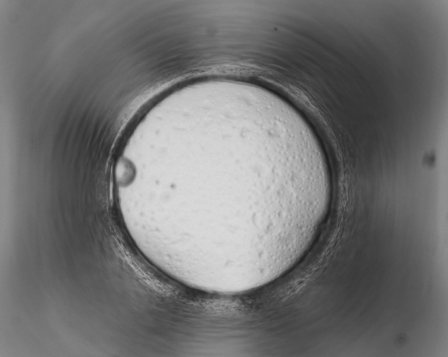 X0000115620838200912011612