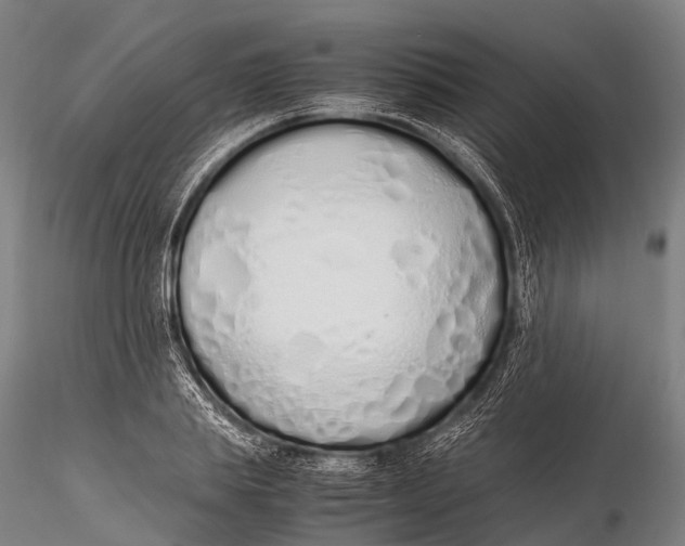 X0000115620839200912011612