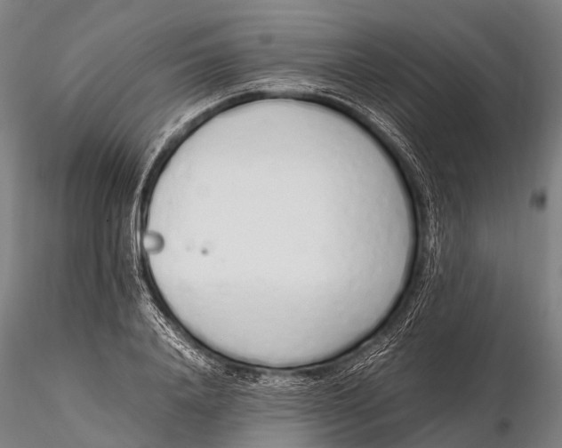 X0000115620840200912011612