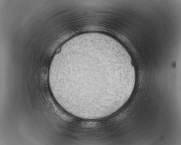 X0000115620841200912011612