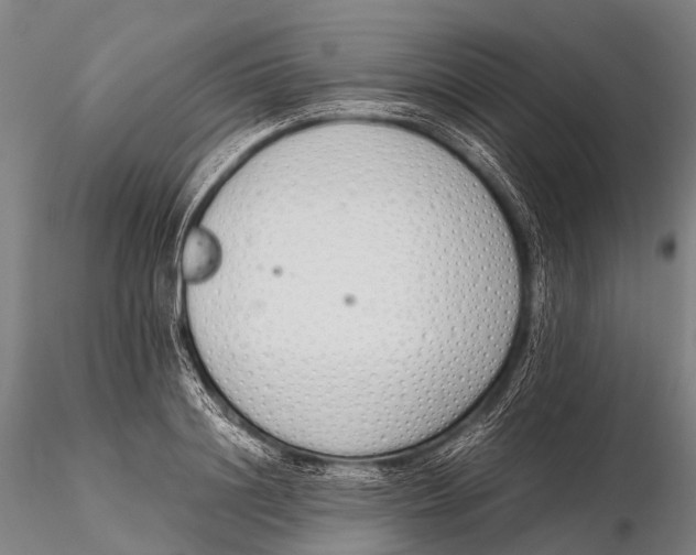 X0000115620844200912011612