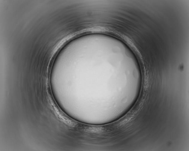 X0000115620845200912011612