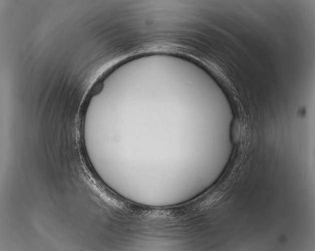 X0000115620846200912011612