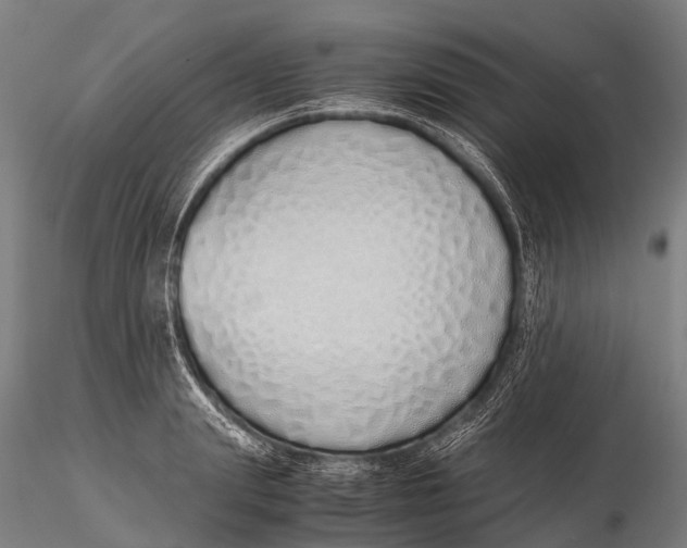 X0000115620847200912011612