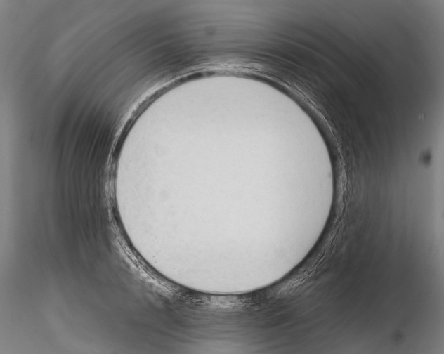 X0000115620848200912011612