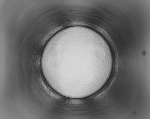 X0000115620849200912011613