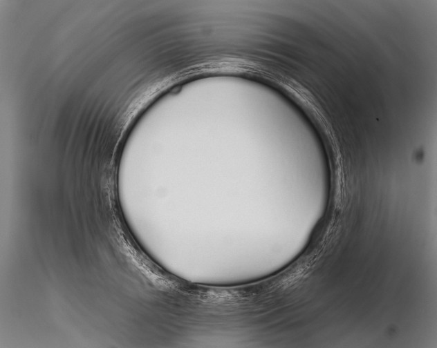 X0000115620850200912011613