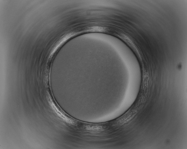 X0000115620851200912011613