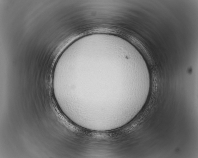 X0000115620852200912011613