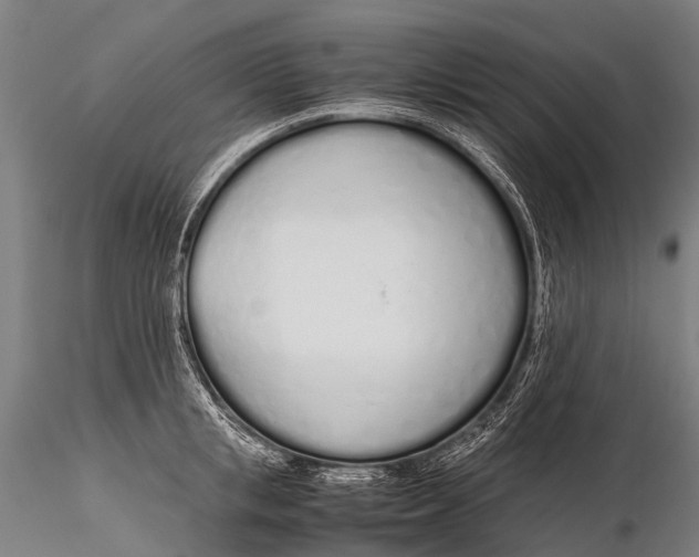 X0000115620853200912011613